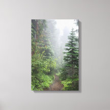 Forêt Nature