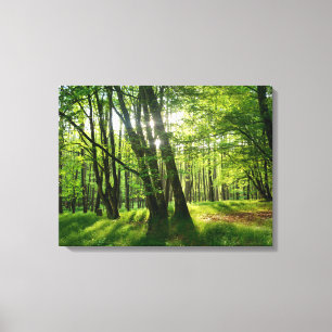 Toile Forêt printanière