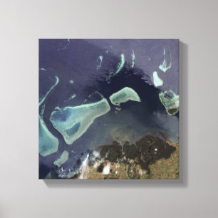 Toile Forêt vert-foncé sur la terre