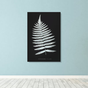 Toile Fougère - Gymnogramma Villosa - Effet radiographiq