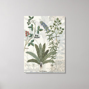Toile Fougères, mûres et fleurs