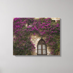 Toile France, Provence, Èze. Rose vif