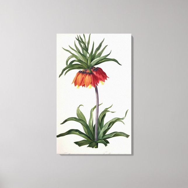 Toile Fritillaria Imperialis de, "Les Lilacees", 1802- (Recto)