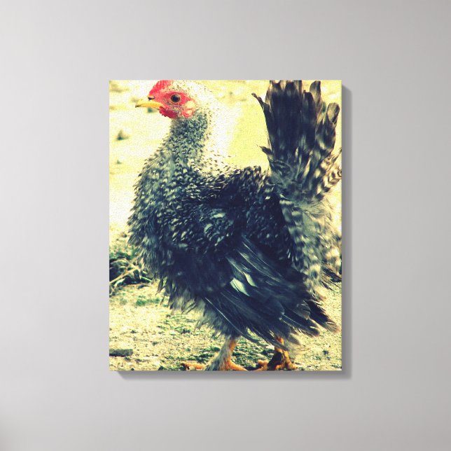 Toile Frizzle Rooster (Recto)