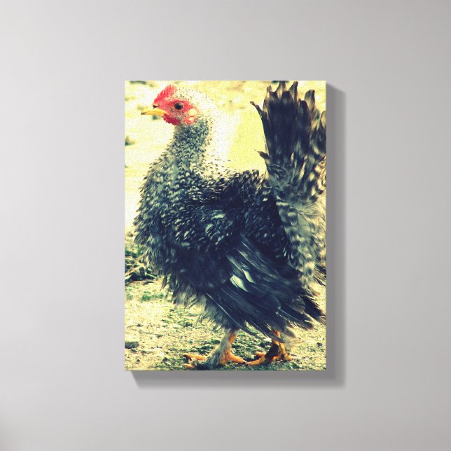 Toile Frizzle Rooster (Recto)