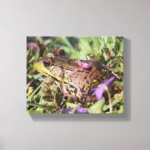 Toile Froggy