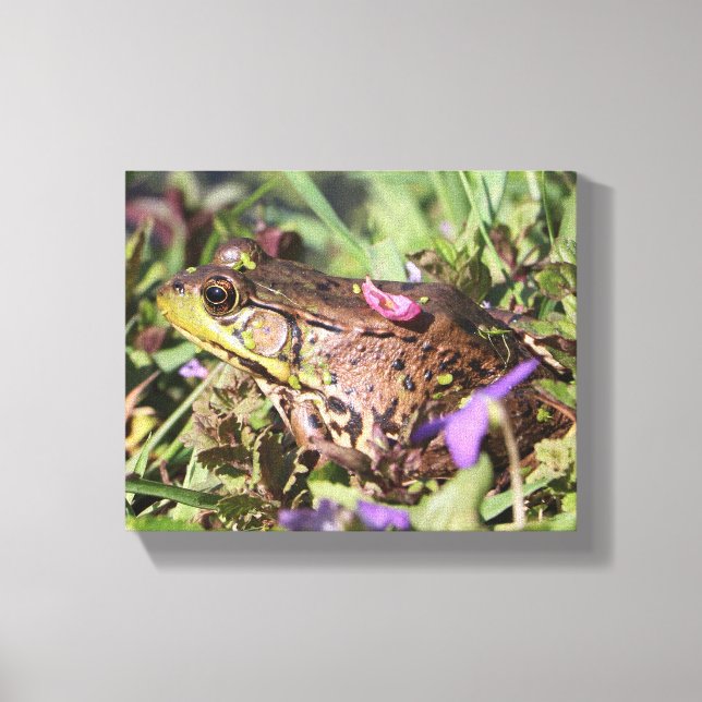 Toile Froggy (Recto)