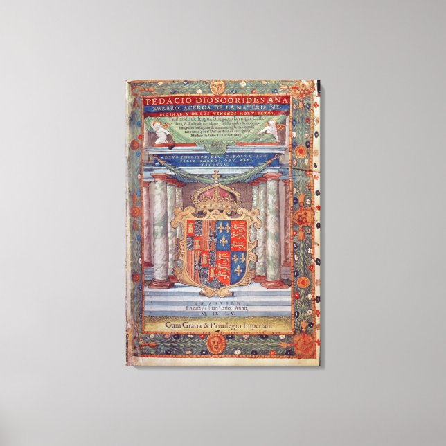 Toile Frontispiece à Dioscorides (Recto)