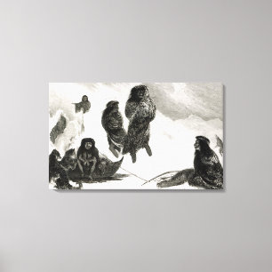 Toile Fuegians allant commercer Zapallos