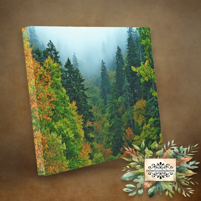 Toile Fumé Mountain Fall Foliing (Créateur téléchargé)