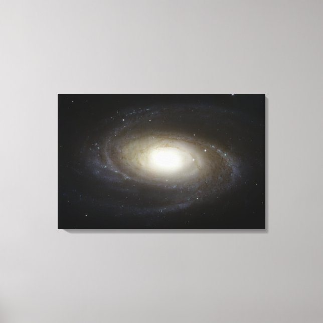 Toile Galaxie spirale M81 (Recto)