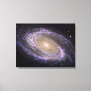 Toile Galaxie spirale Messier 81