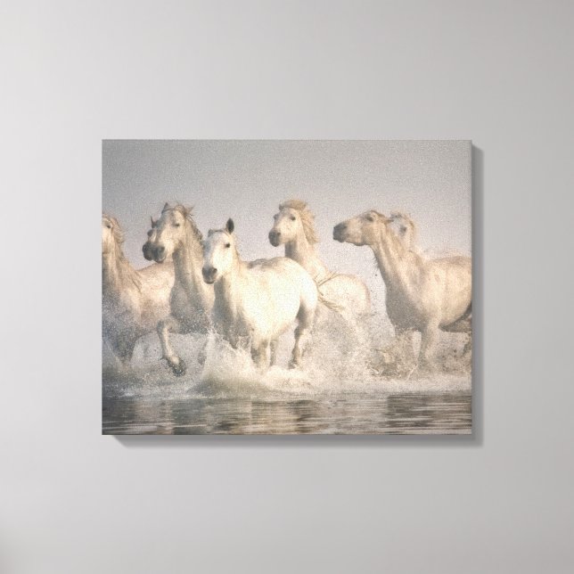 Toile Galloping à cheval dans l'eau méditerranéenne (Recto)