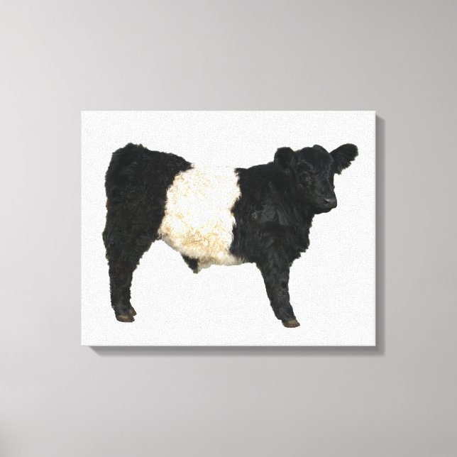 Toile Galloway Ceer Cutout Beltie Cadeau (Recto)