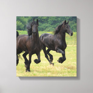 Toile Galop Friesian Horses Canvas Imprimer
