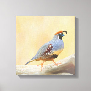 Toile Gambrel's Quail Painting Original Bird Art