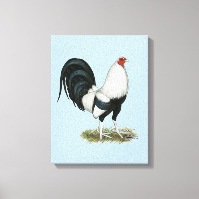 Toile Gamecock argenté (Recto)