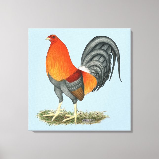 Toile Gamecock Blue Red Roster (Recto)