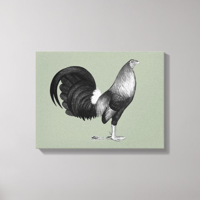 Toile Gamecock Red Hatch (Recto)