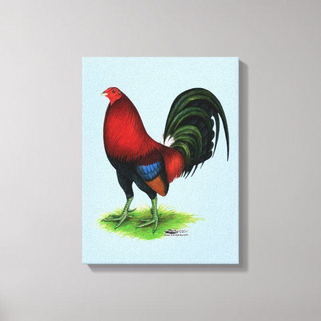 Toile Gamecock : Rouge foncé (Recto)