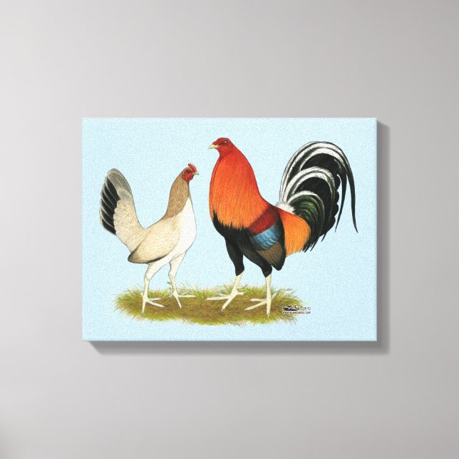 Toile Gamefowl wheatens (Recto)