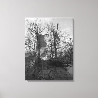 Toile Garden of the Gods Colorado Park Photo