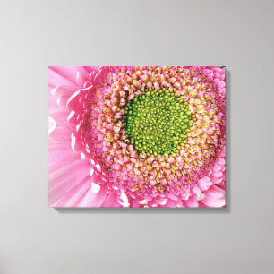 Toile Gerbera rose