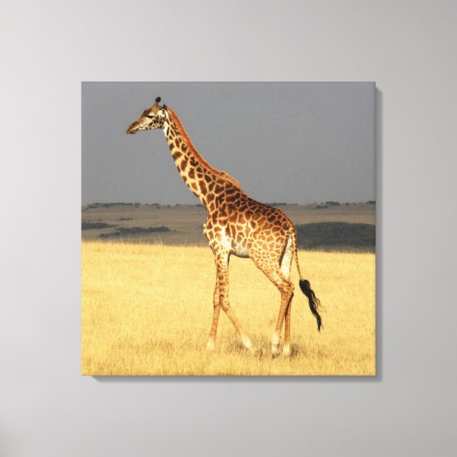 Toile Girafe corps complet Afrique Animaux africains (Recto)