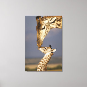 Toile Girafe embrassant un bébé girafe