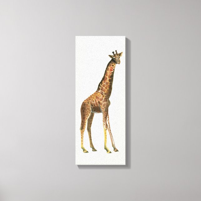 Toile Giraffe (Recto)