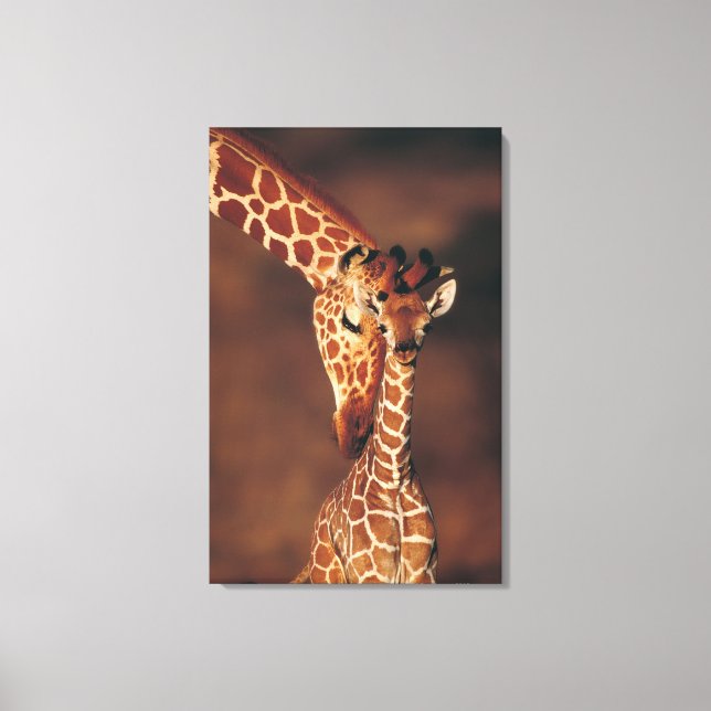 Toile Giraffe adulte avec veau (Giraffa camelopardalis) (Recto)
