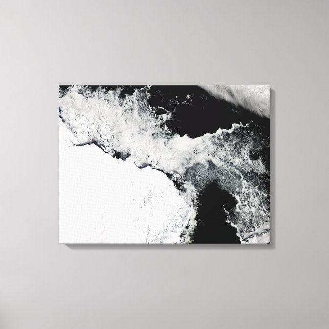 Toile Glace marine dans l'océan Austral (Recto)