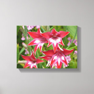 Toile Glaïeuls rouges et blancs Été botanique