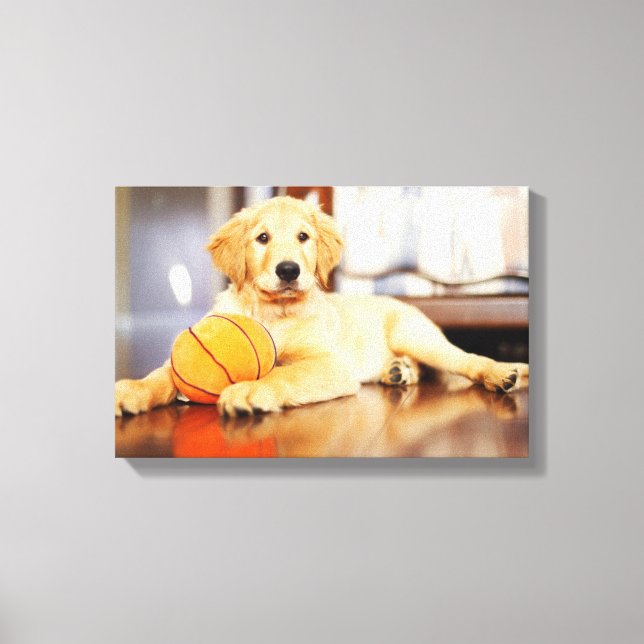 Toile Golden Retriever (Recto)
