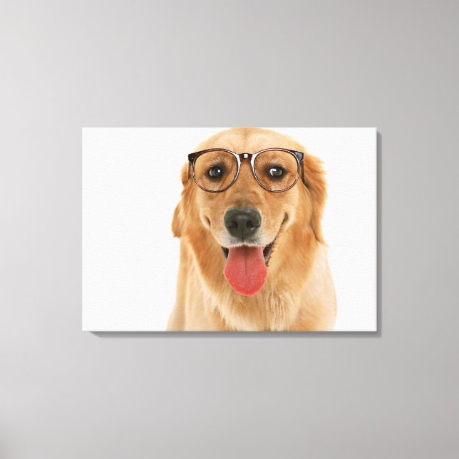 Toile Golden Retriever 8 (Recto)