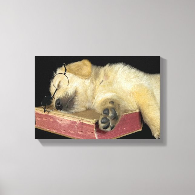 Toile golden retriever dormant sur vieux livre (Recto)