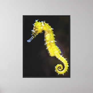 Toile Golden Seahorse Vibrant Marine Life