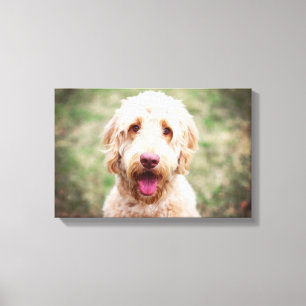 Toile Goldendoodle souriant