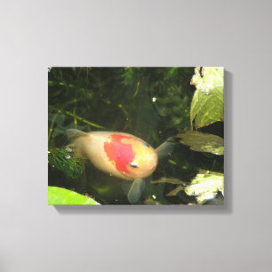 Toile Goldfish Canvas Print