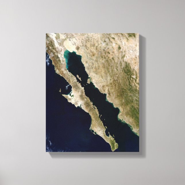 Toile Golfe de Californie (Recto)
