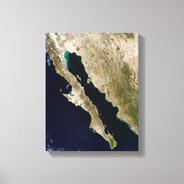 Toile Golfe de Californie (Recto)