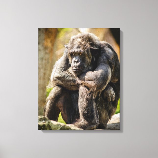 Toile Gorilla (Recto)