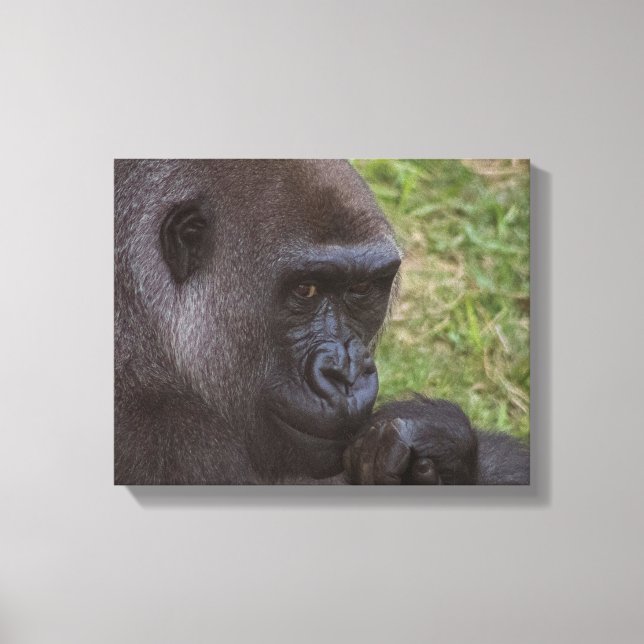Toile Gorilla (Recto)
