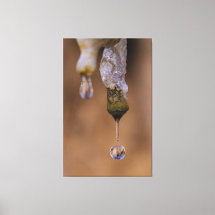 Toile goutte de goutte
