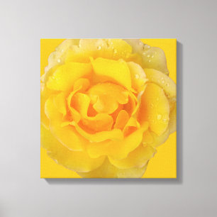 Toile Gouttes d'eau de rose jaune romantique