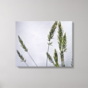 Toile Graines d'herbes sauvages