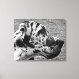 TOILE GRAND DANE