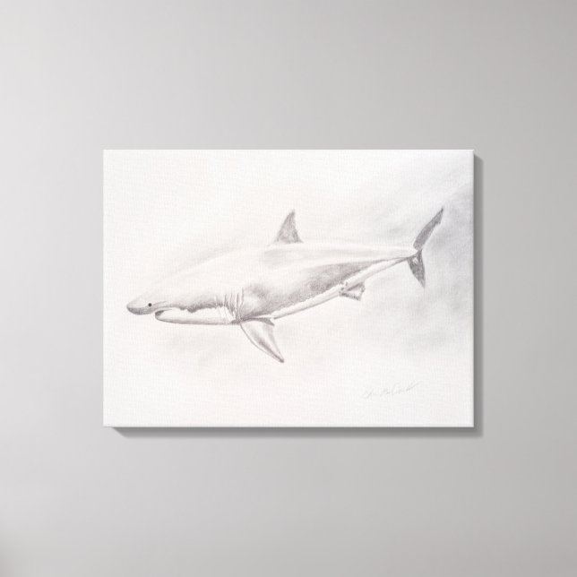 Toile Grand dessin de requin blanc (Recto)