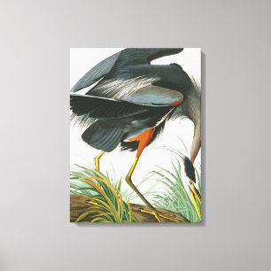 Toile Grand héron bleu par John James Audubon