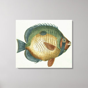 Toile Grand Poisson Coloré